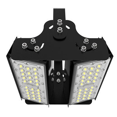 購入 OEM 100W LEDの屋外の洪水ライトは上塗を施してあるアルミニウム ハウジングを粉にする online manufacture