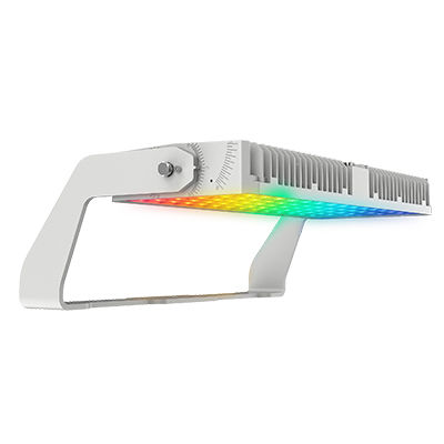 購入 LEDスポーツフィールドライト AC180-528V 入力電圧、9°/13°/18°/55°/非対称45/60N/60M ビーム角によるパフォーマンス online manufacture